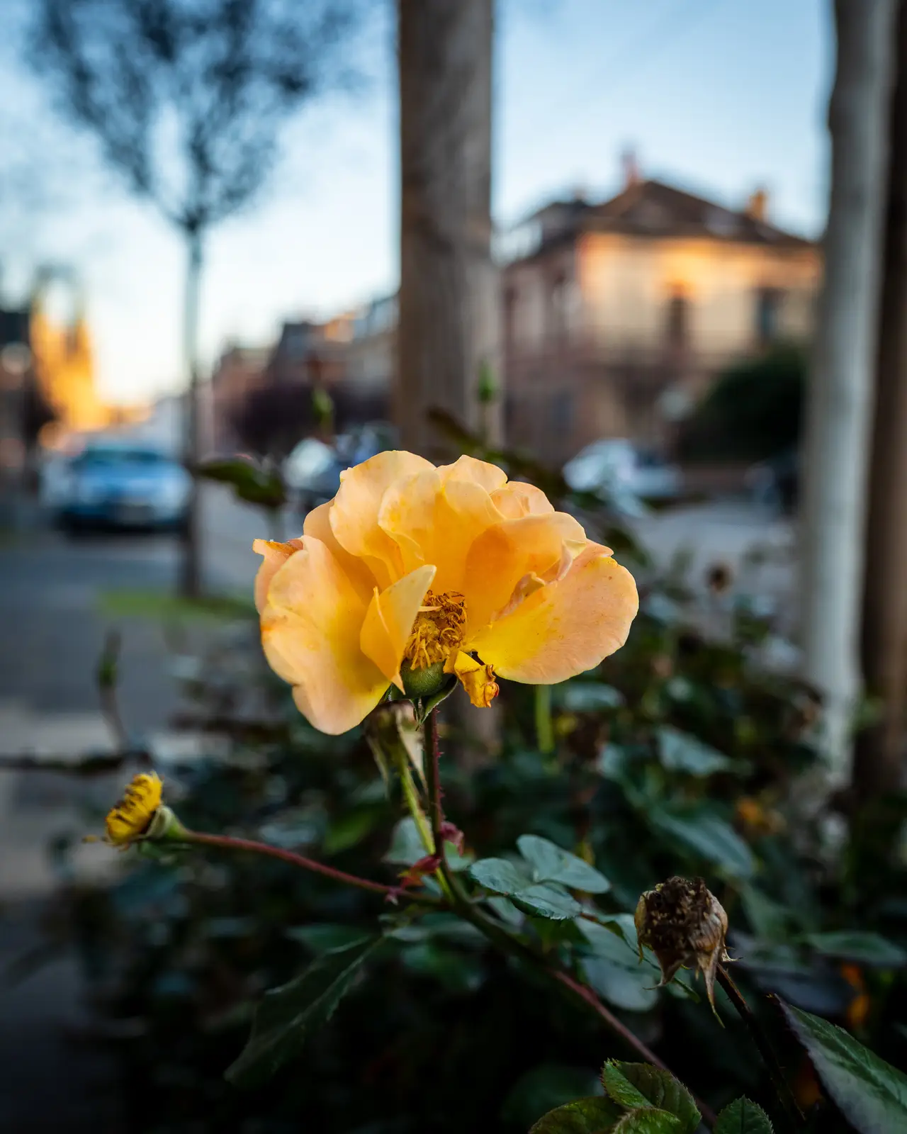 PB051573.DeVPY8ik Z2sxLfL